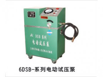 6DSB-系列人生就是博(中国)集团压泵